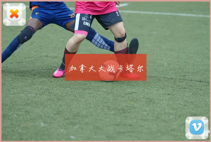 加拿大大战卡塔尔