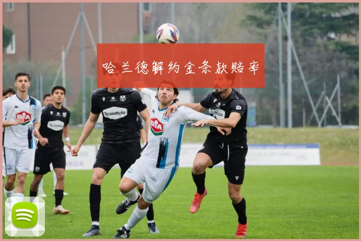 哈兰德解约金条款赔率