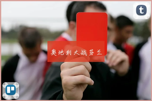 奥地利大战芬兰