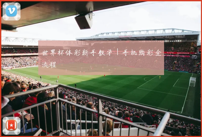 世界杯体彩新手教学｜手机购彩全流程